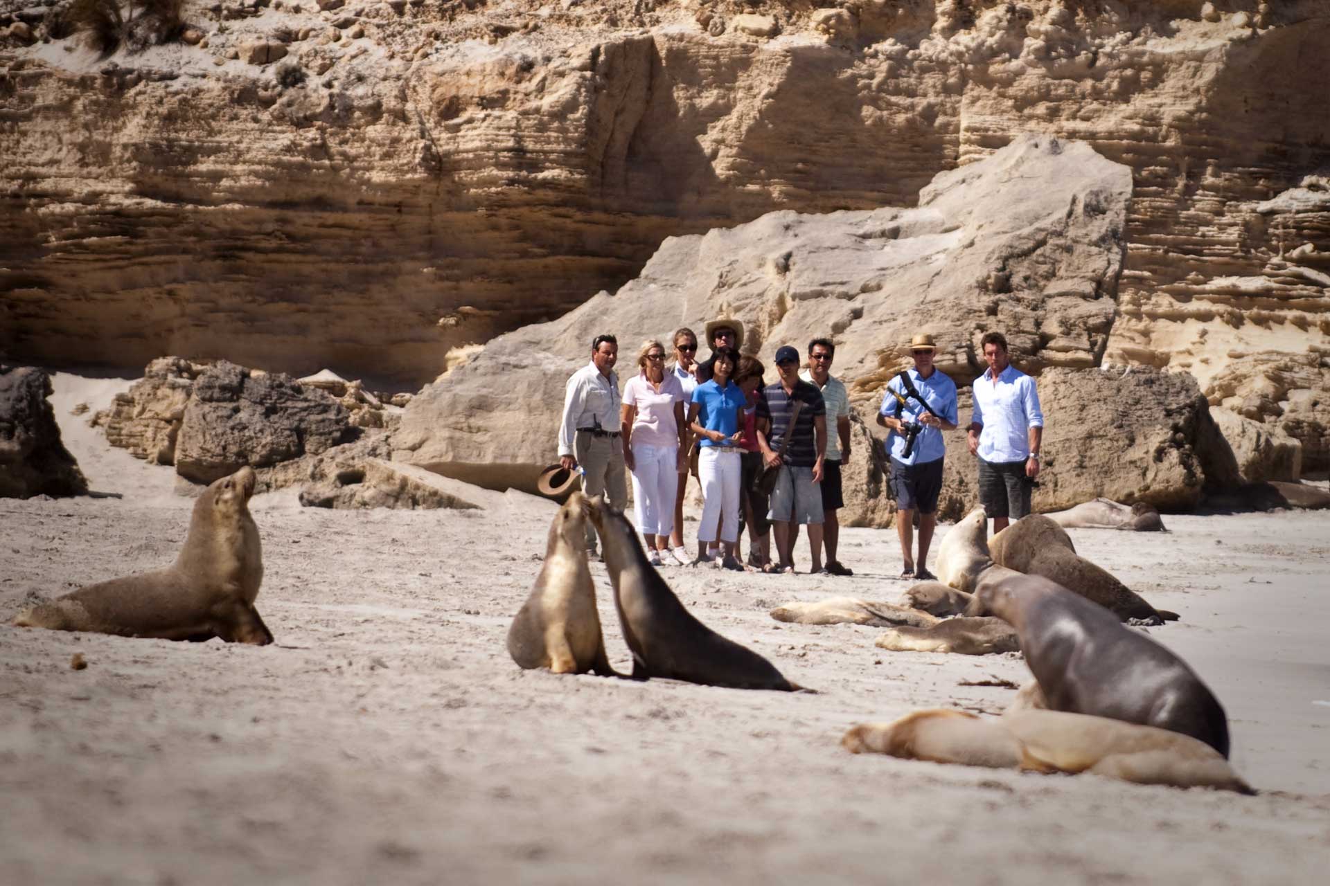 澳洲版终极吃货考验：把袋鼠、蜥蜴和鸸鹋当“路边餐”