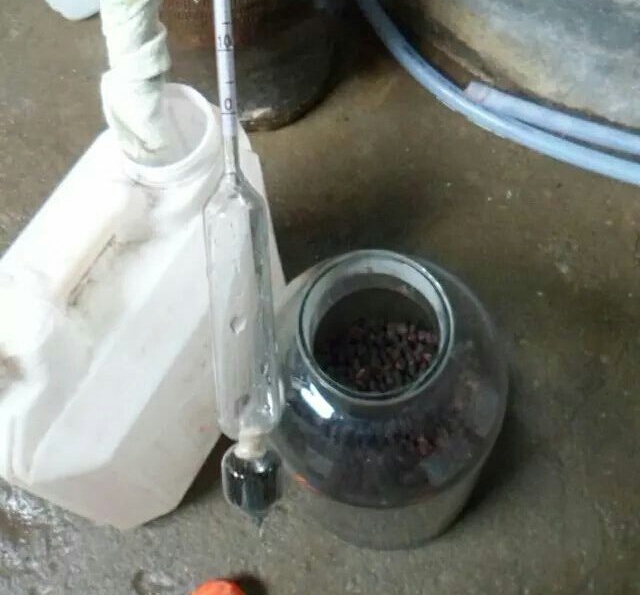 稔子酒有几种配酿方法,稔子酒的做法步骤教程