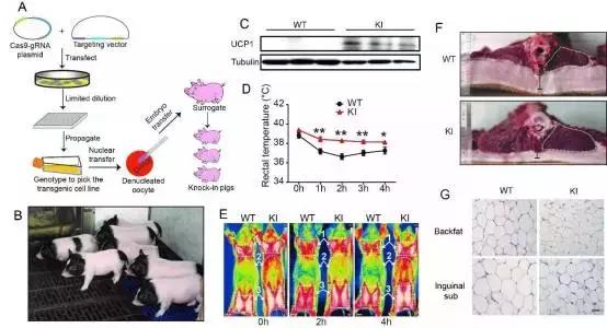 生命科技新时代,生命科技最新