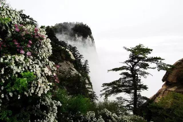 为什么此生一定要来一趟甘肃,此生为什么一定要去一次华山