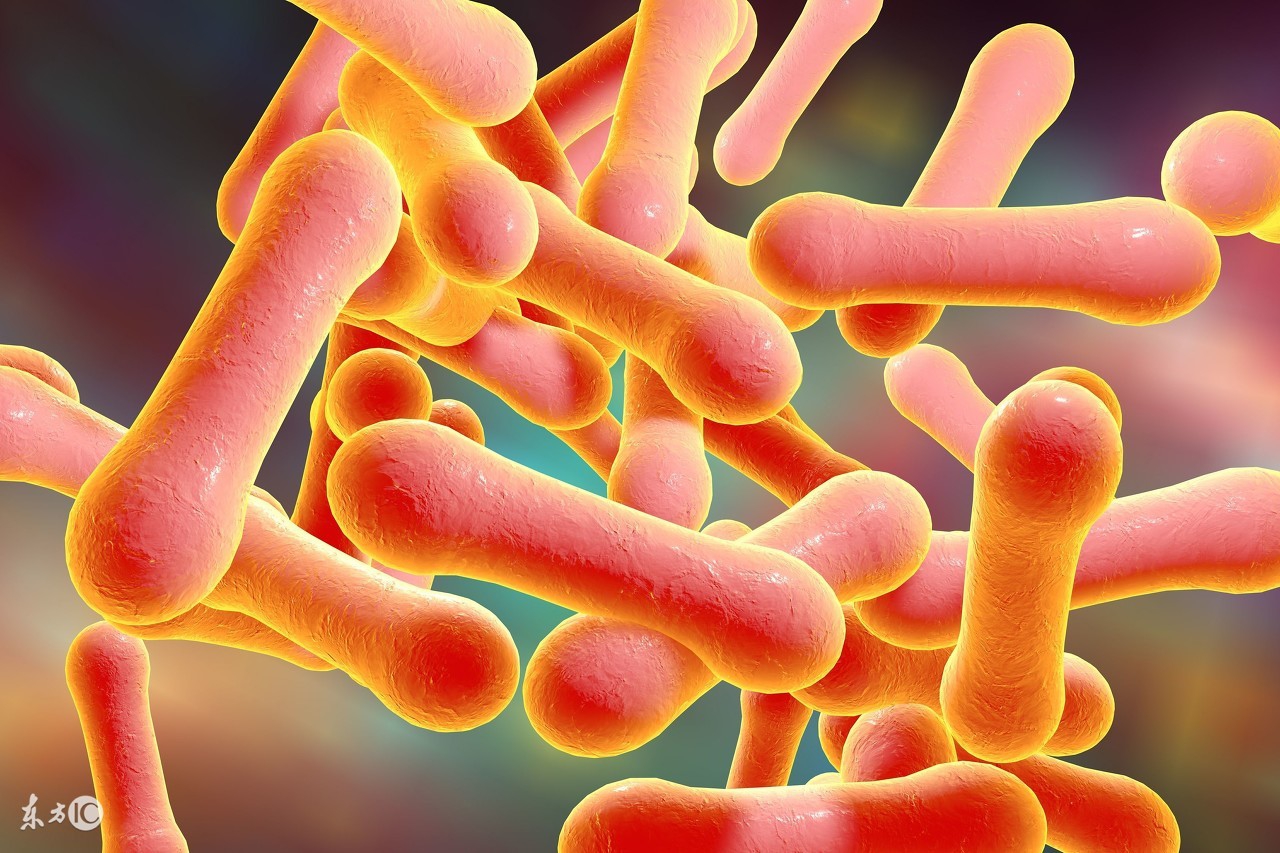 引起风湿的原因有哪些,引起风湿热的病因