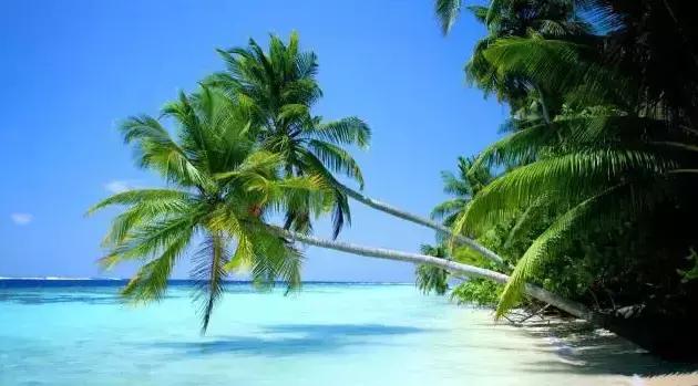 三亚住宿攻略酒店预订,三亚12月份酒店推荐