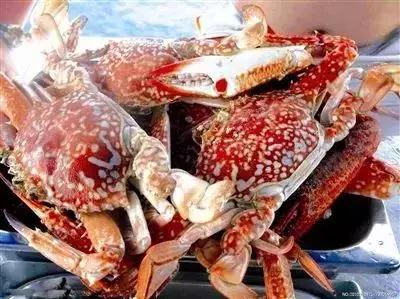 湛江美食海鲜一条街,中国海鲜美食之都湛江