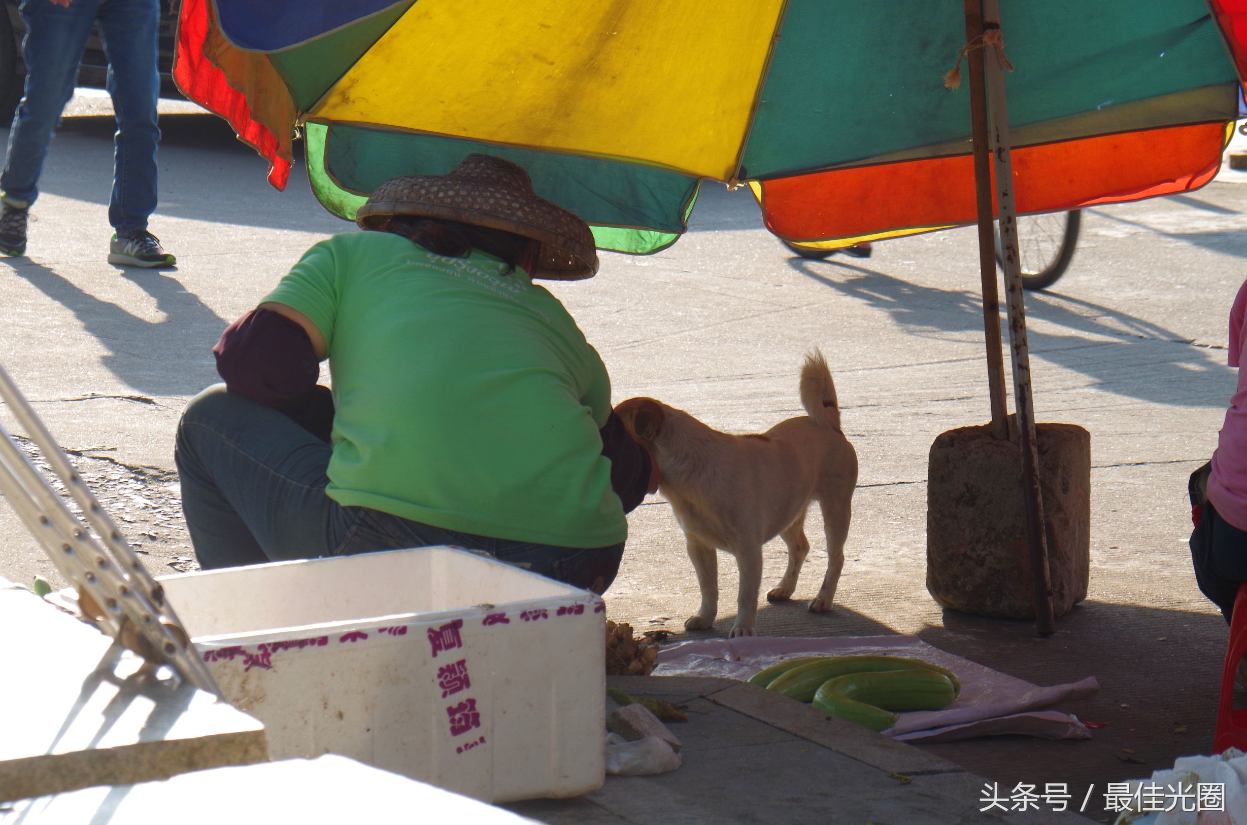 东涌绿道长廊有水玩吗,东涌绿道在哪里