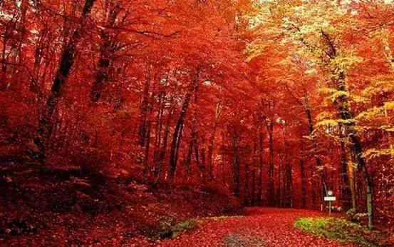 11月国内最值得去的景点,推荐七月国内最佳旅行目的地