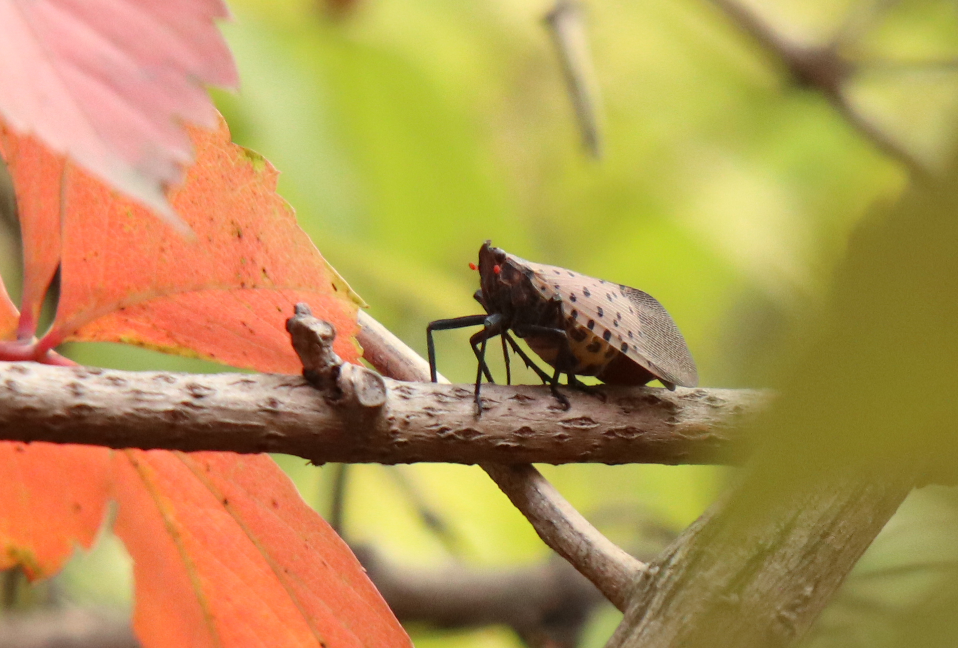 佳能eosm6二代拍照指南,佳能m6二代拍摄作品欣赏