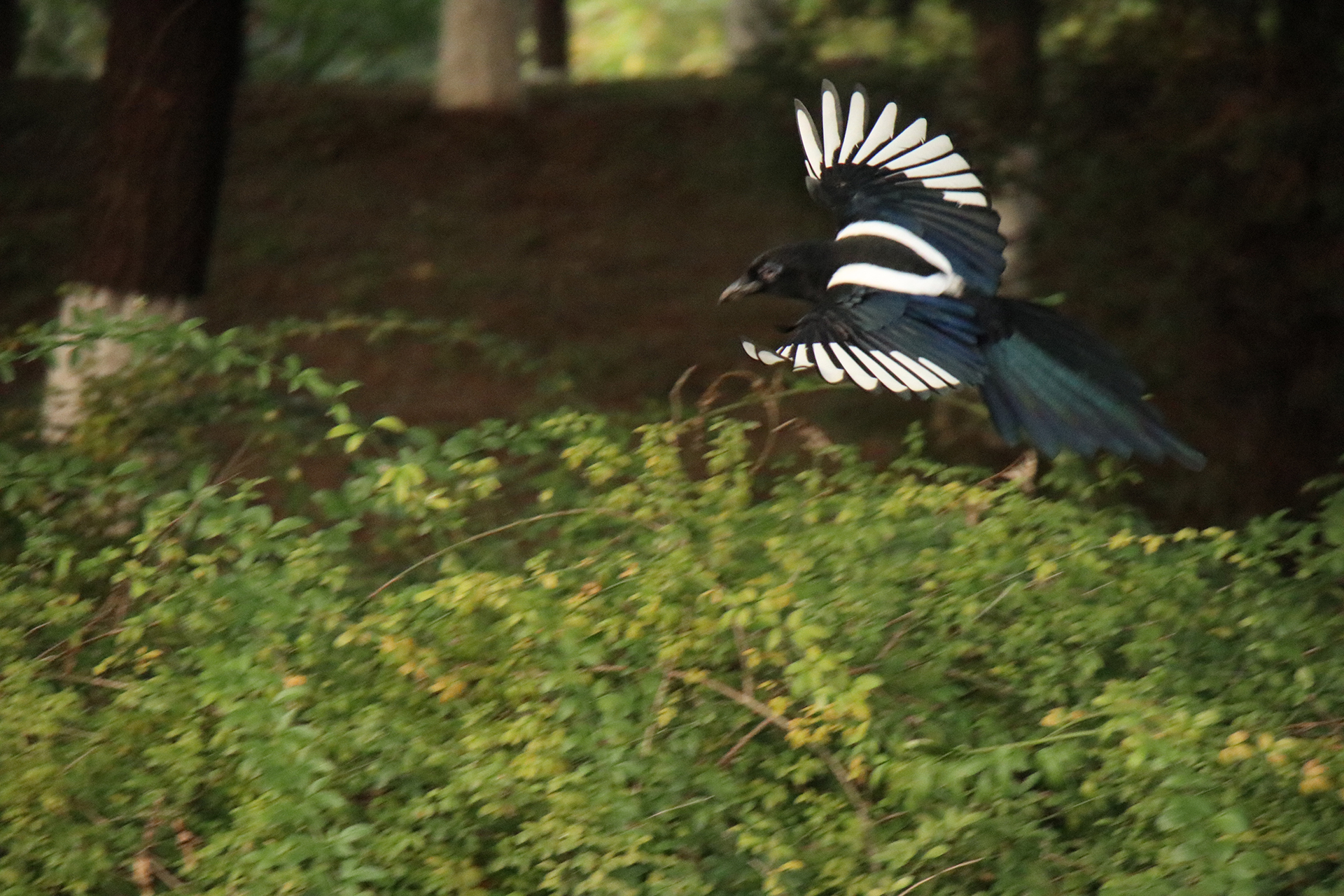 佳能eosm6二代拍照指南,佳能m6二代拍摄作品欣赏