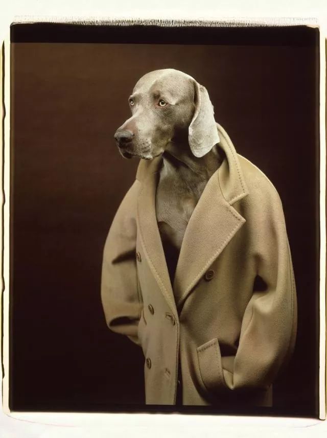 “大衣是女人的第一藏身所”