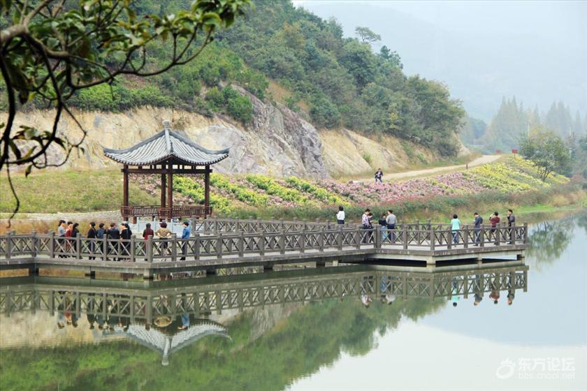 宁波秋天风景好的地方推荐,宁波秋天哪里有花海