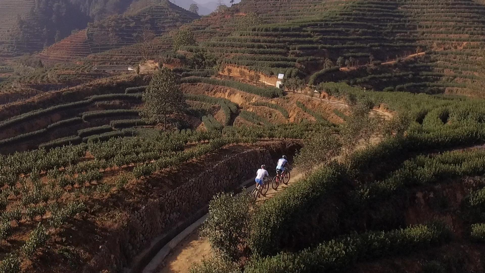 遂昌自行车公开赛视频,环浙自行车赛