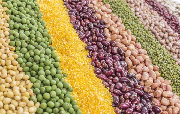 素问四季养生论,黄帝内经素问四时养生