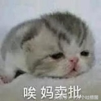 本能比肩《指环王》的一部神作,就这么被索尼影业拍砸了……