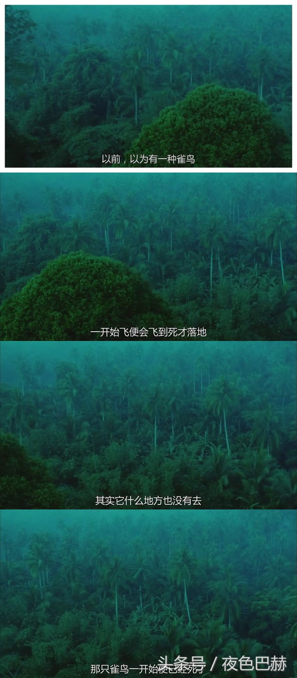 最让你心酸的一句电影台词,有哪些电影台词让你潸然泪下