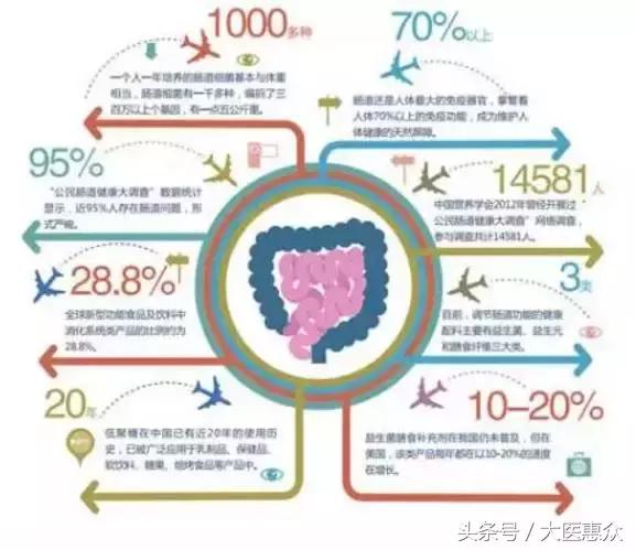 菊苣产地哪个地方好,北纬40度适合种植什么蔬菜