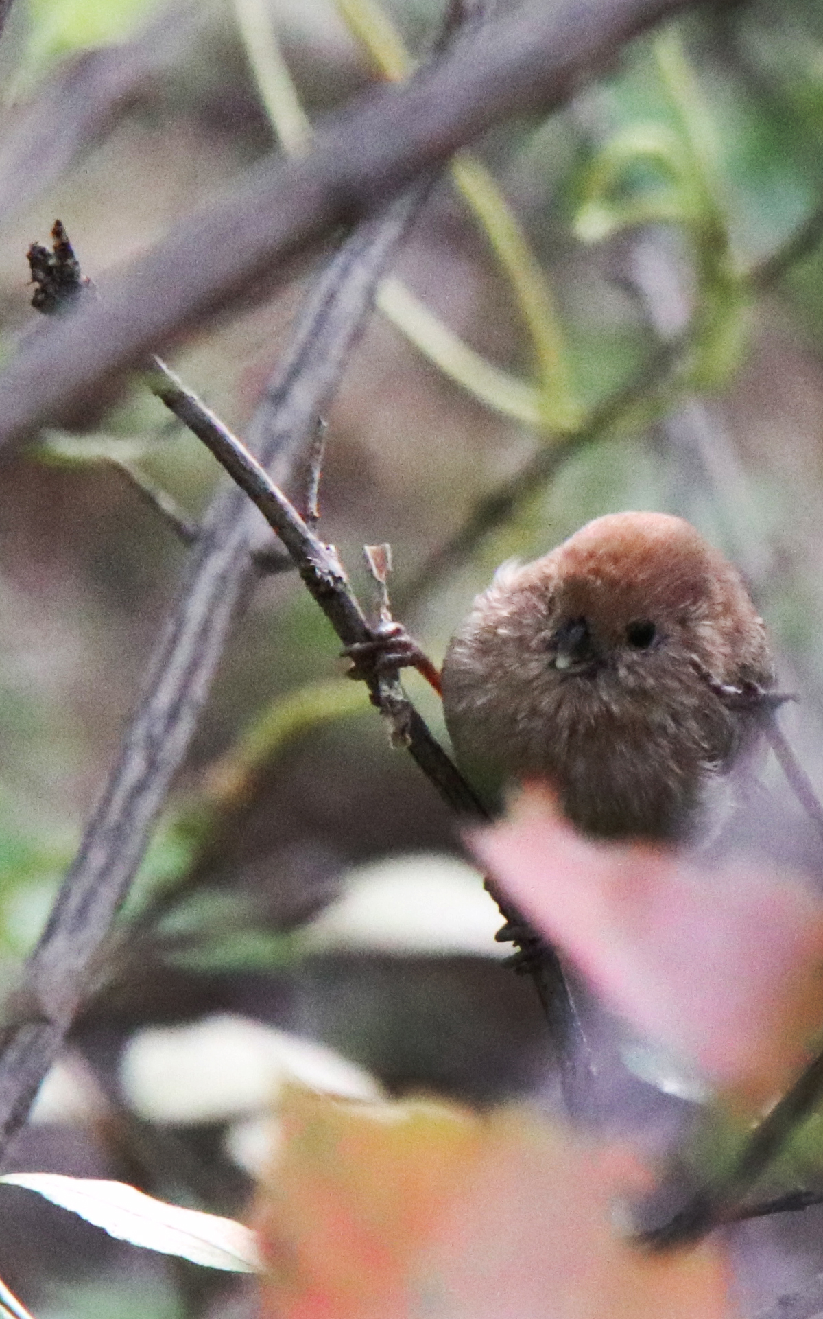 佳能eosm6二代拍照指南,佳能m6二代拍摄作品欣赏