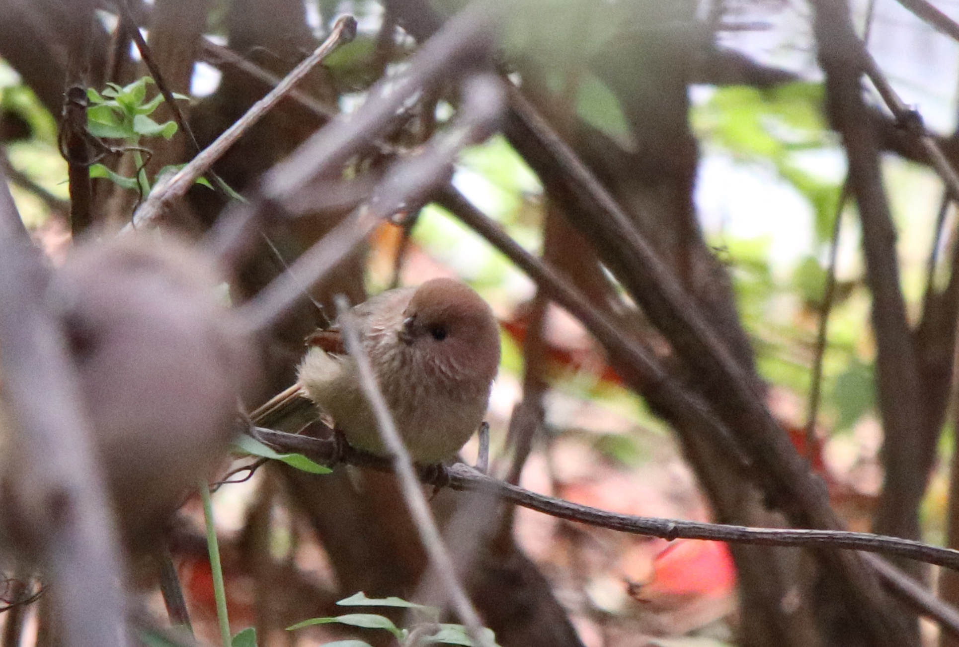 佳能eosm6二代拍照指南,佳能m6二代拍摄作品欣赏