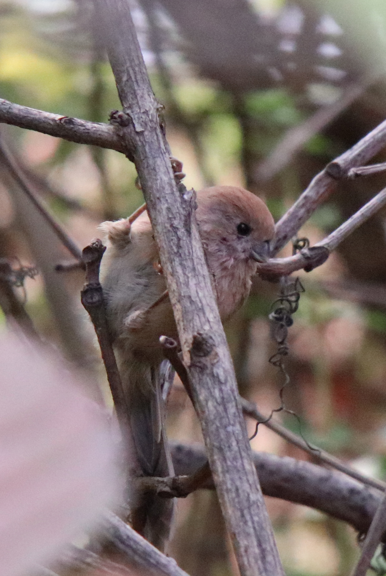 佳能eosm6二代拍照指南,佳能m6二代拍摄作品欣赏