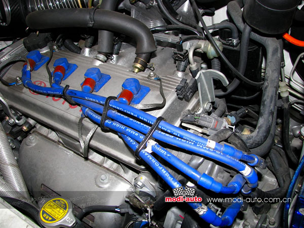 都市小白领,城市小白买车