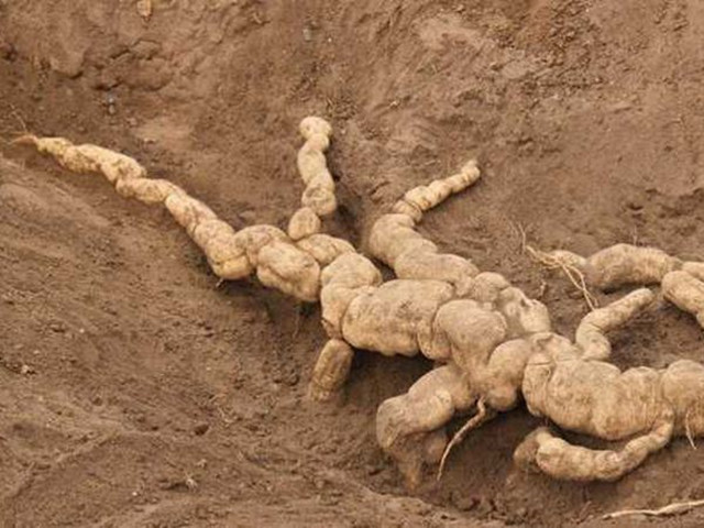 身体津液不足出现内热,身体热气重怎么调理