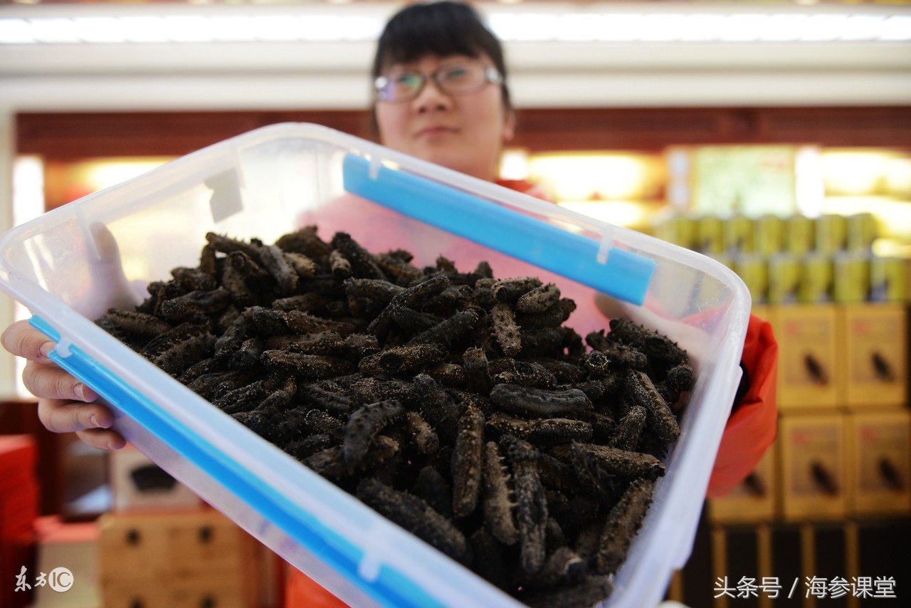 海参品质如何鉴别哪种海参好,海参一周吃几个最佳如何挑选海参