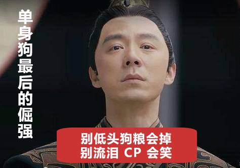 双宋cp高甜语录,双宋cp要结婚了吗