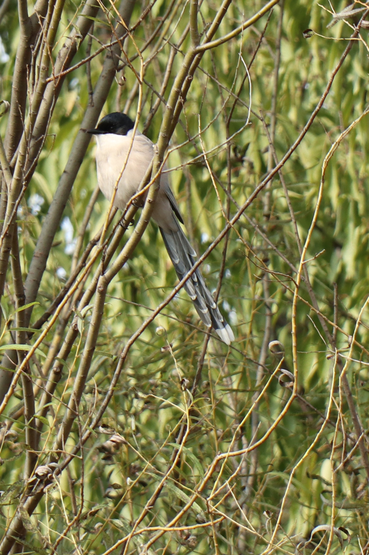 佳能eosm6二代拍照指南,佳能m6二代拍摄作品欣赏