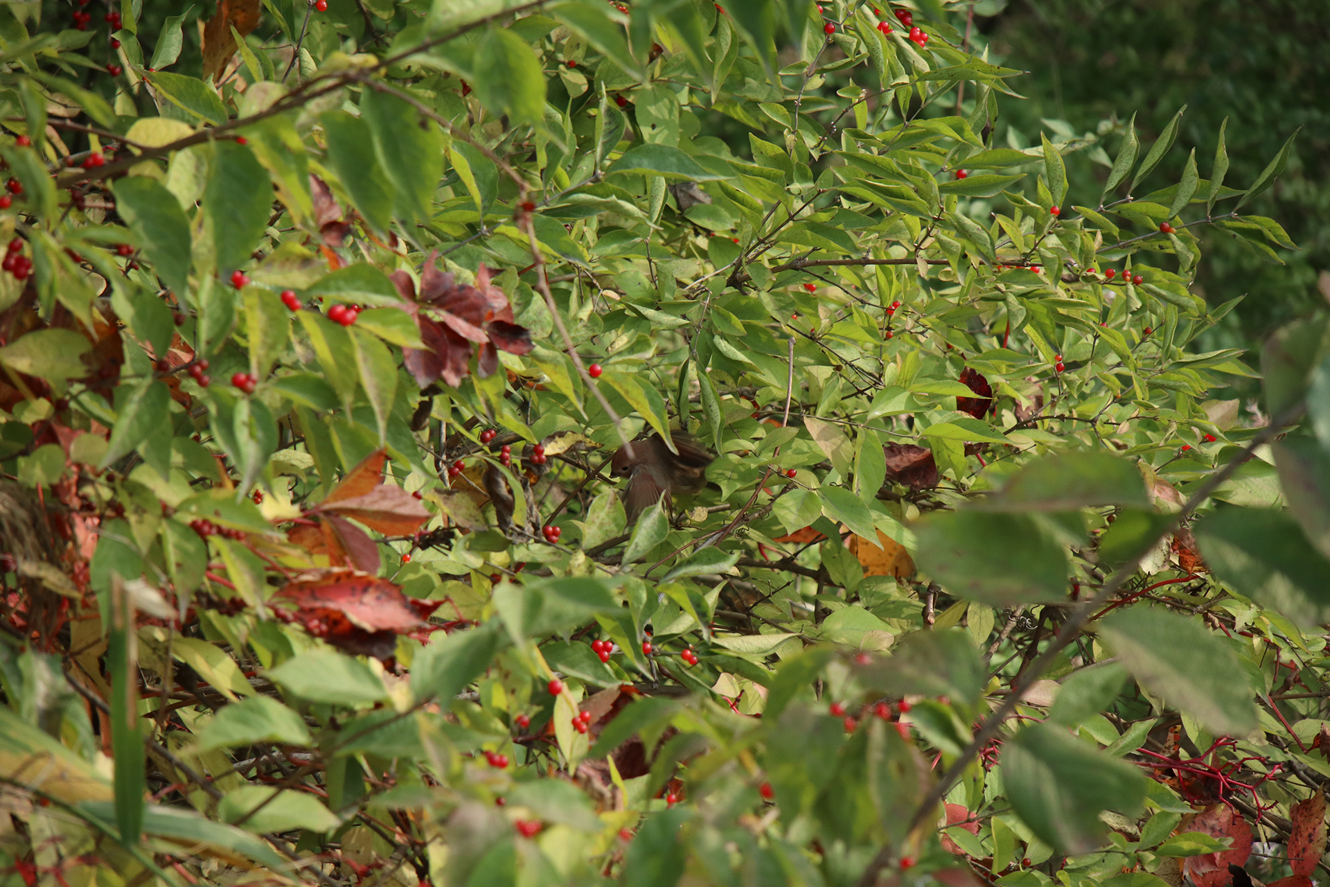 佳能eosm6二代拍照指南,佳能m6二代拍摄作品欣赏