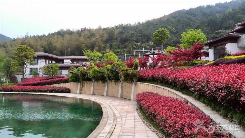 宁波秋天风景好的地方推荐,宁波秋天哪里有花海