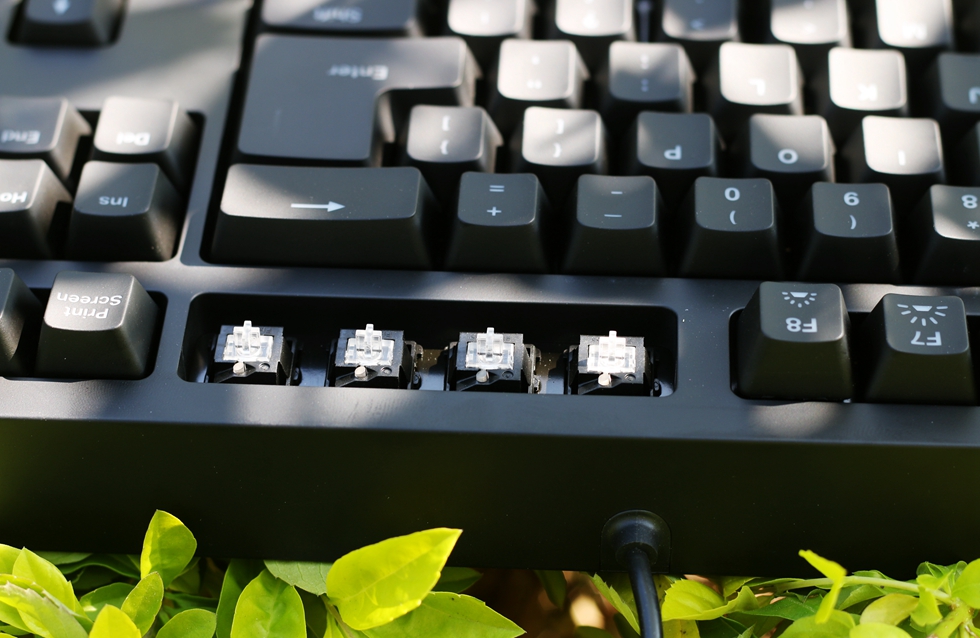 这个键盘头有些铁—ZOWIECELERITASII机械键盘