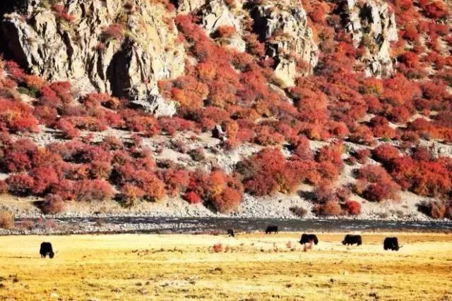 11月国内最值得去的景点,推荐七月国内最佳旅行目的地