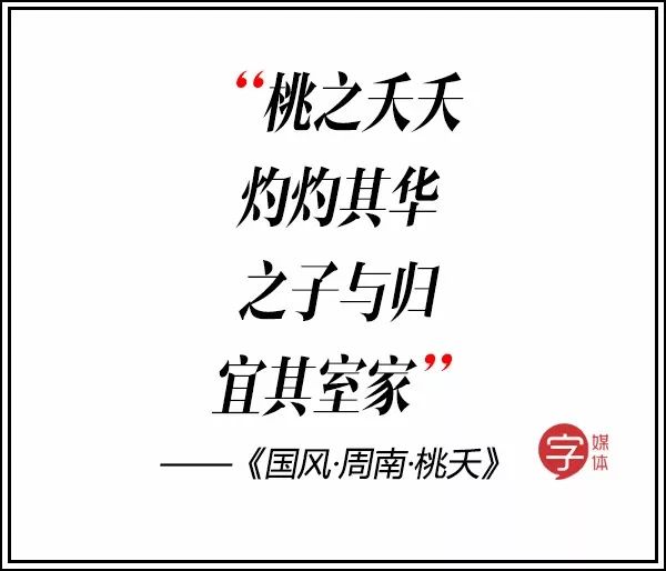 双宋cp高甜语录,双宋cp要结婚了吗