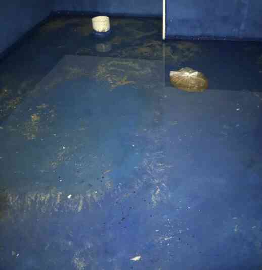 管家日志|你拥有舒适的家,便是我的骄傲