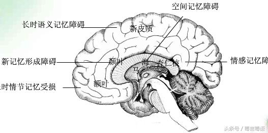 带你看看吸毒有多大的危害,吸毒最有危害是什么