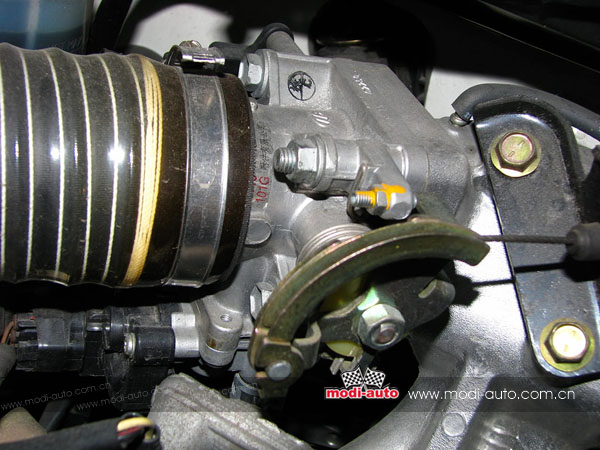 都市小白领,城市小白买车