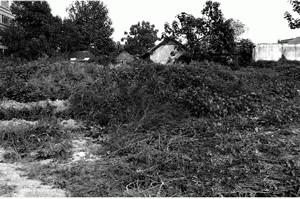 椴佺彮鏁呴噷鍦ㄥ摢,椴佺彮鏁呴噷灞变笢婊曞窞