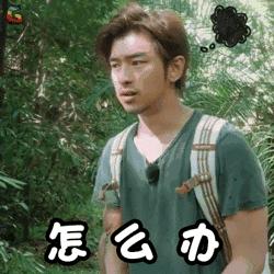 羊城通丢失后补办里面的钱没了,羊城通丢失了卡余额能转出来吗