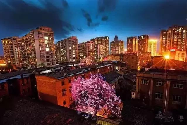 从白昼到黑夜,爱上宜昌的24小时