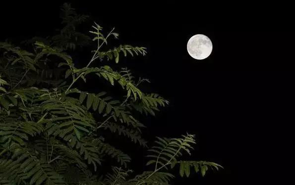 从白昼到黑夜,爱上宜昌的24小时