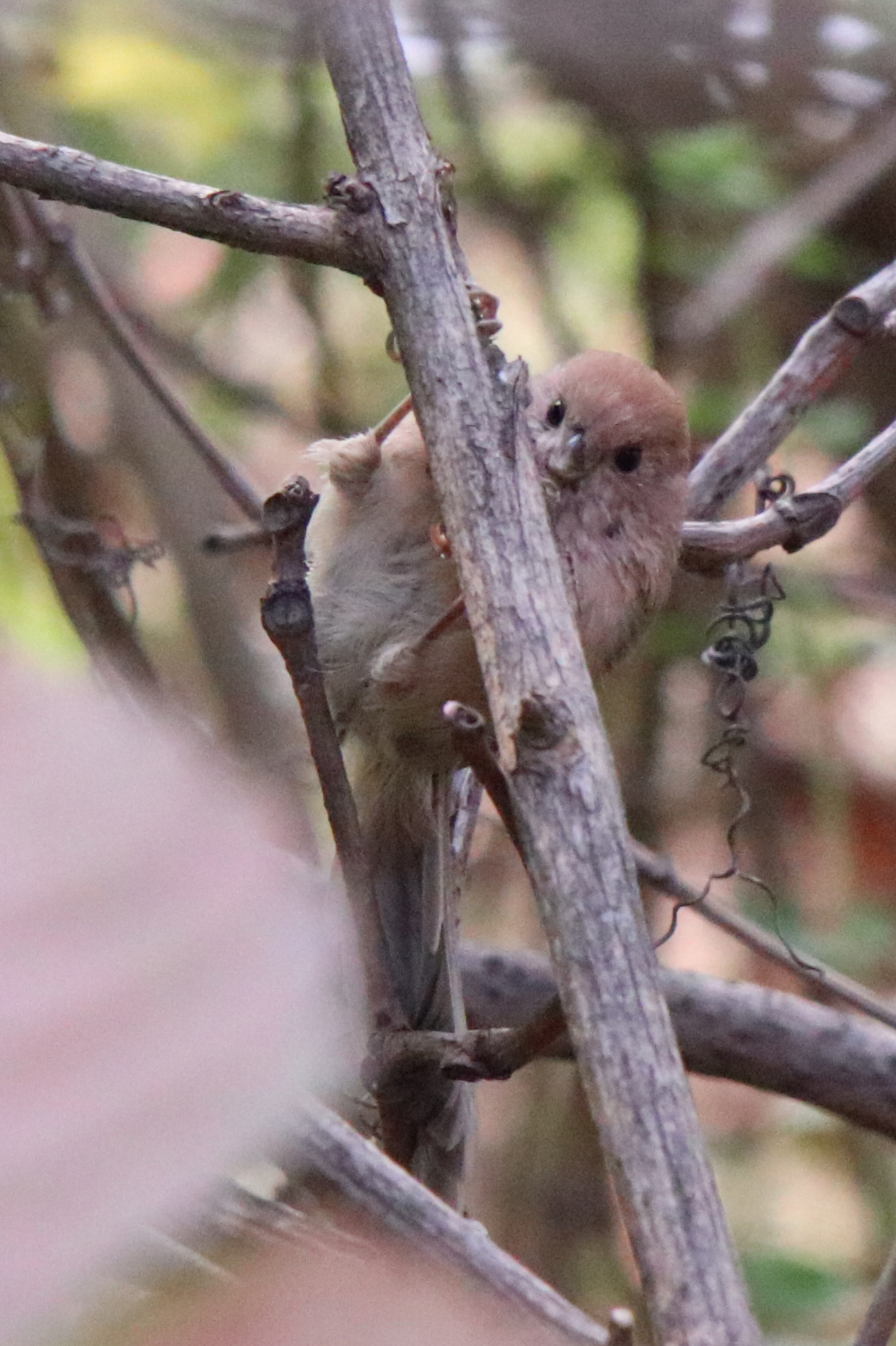 佳能eosm6二代拍照指南,佳能m6二代拍摄作品欣赏
