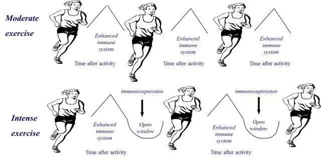 跑步能使感冒好得快吗,跑步为什么能预防感冒