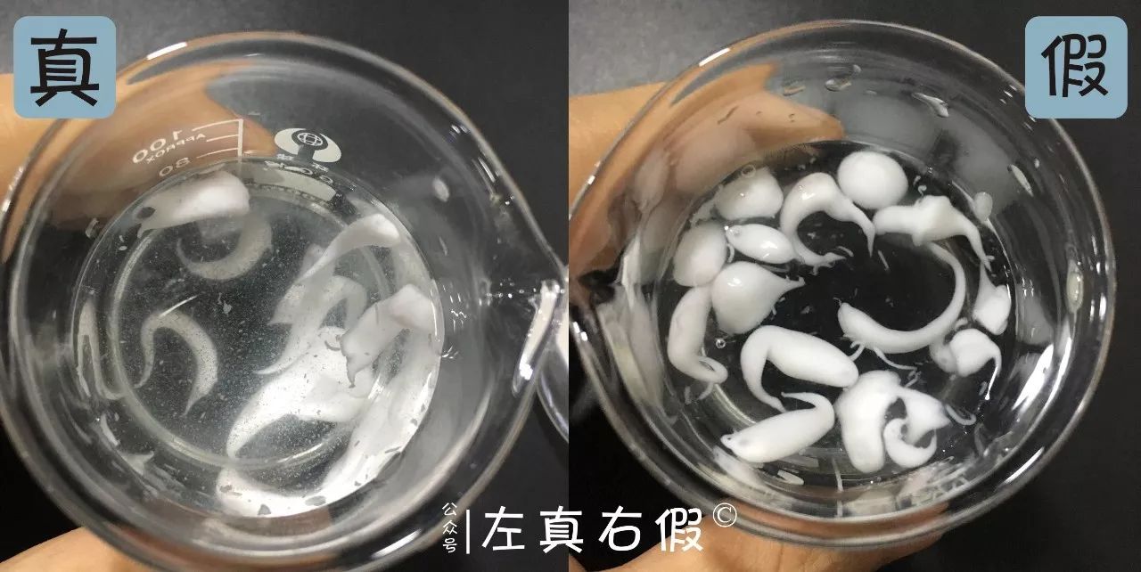 学生党身体乳推荐留香,鸡皮美白身体乳学生党