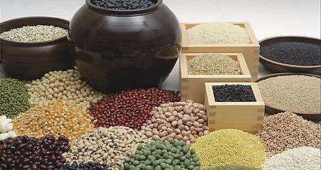 素问四季养生论,黄帝内经素问四时养生