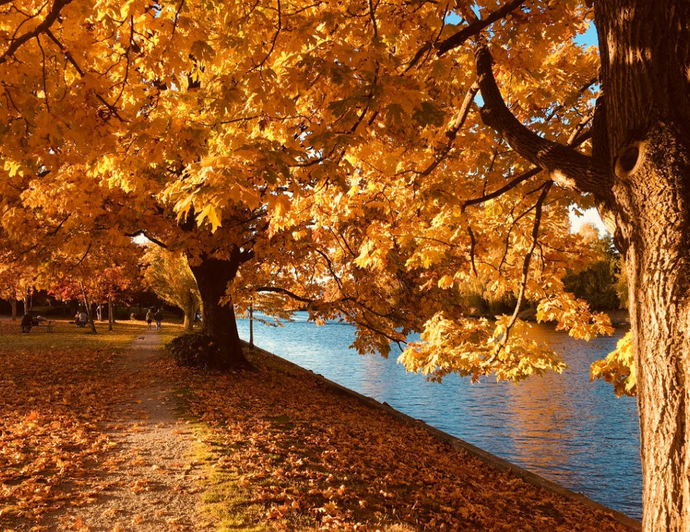 张家界天门山玻璃栈道1日游览,张家界天门山玻璃栈道三日游攻略