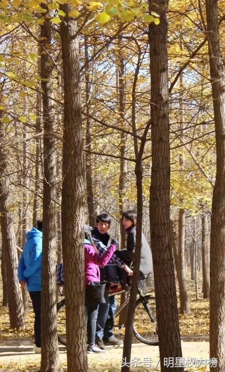 鹿晗演绎科技范儿，陈伟霆荷尔蒙爆棚？路透来袭你最期待哪部作品