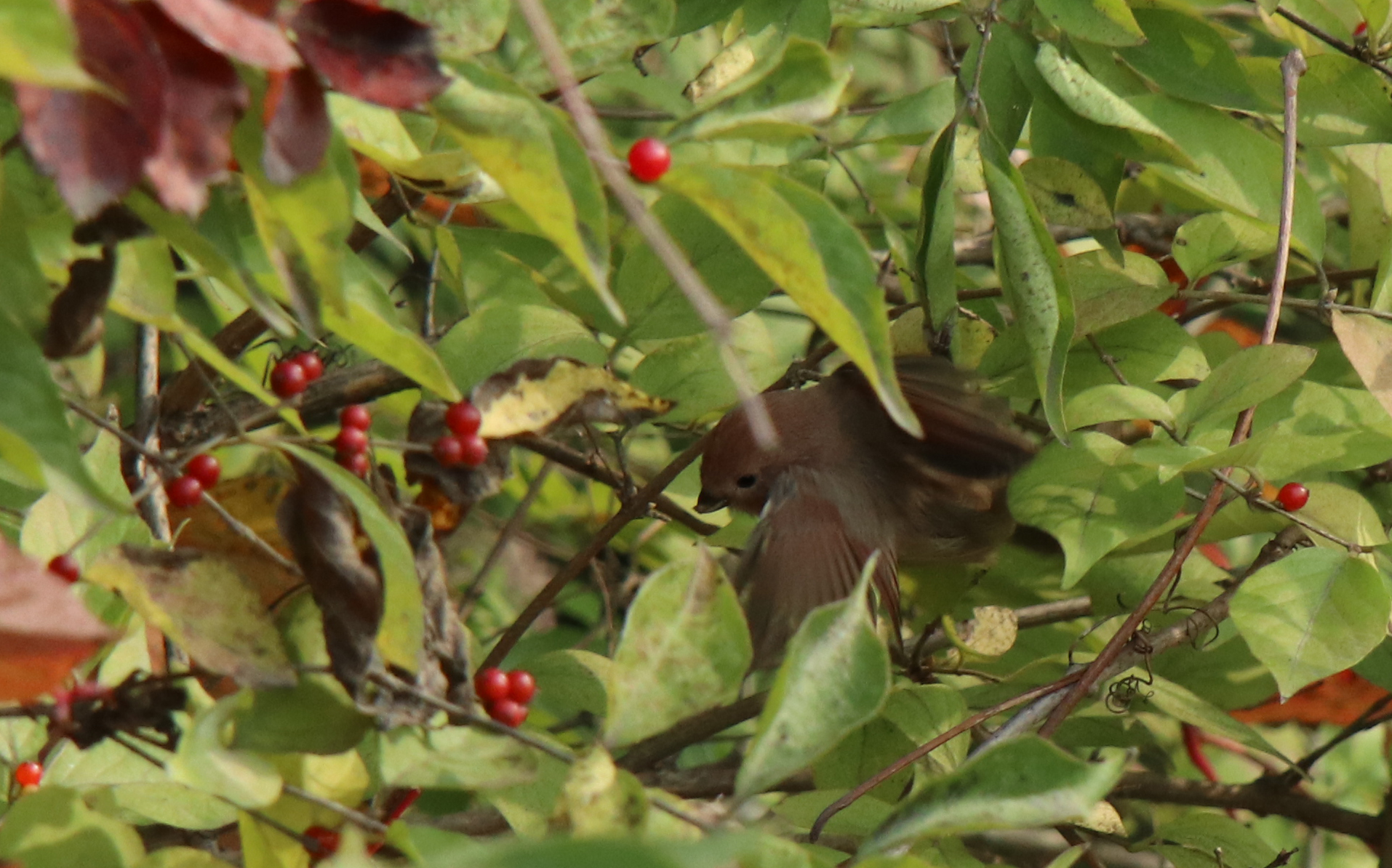 佳能eosm6二代拍照指南,佳能m6二代拍摄作品欣赏