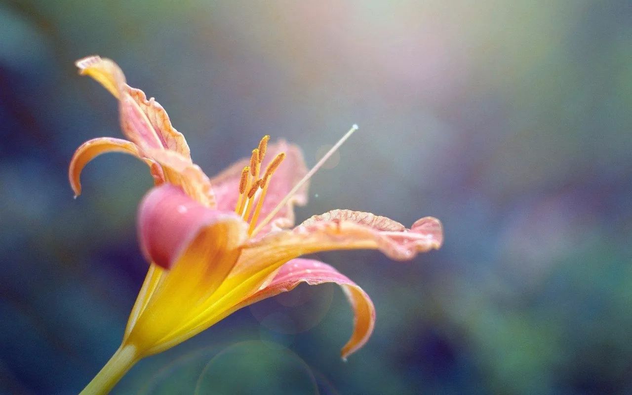 皮肤过敏怎么治反复过敏,秋冬皮肤容易过敏怎么办