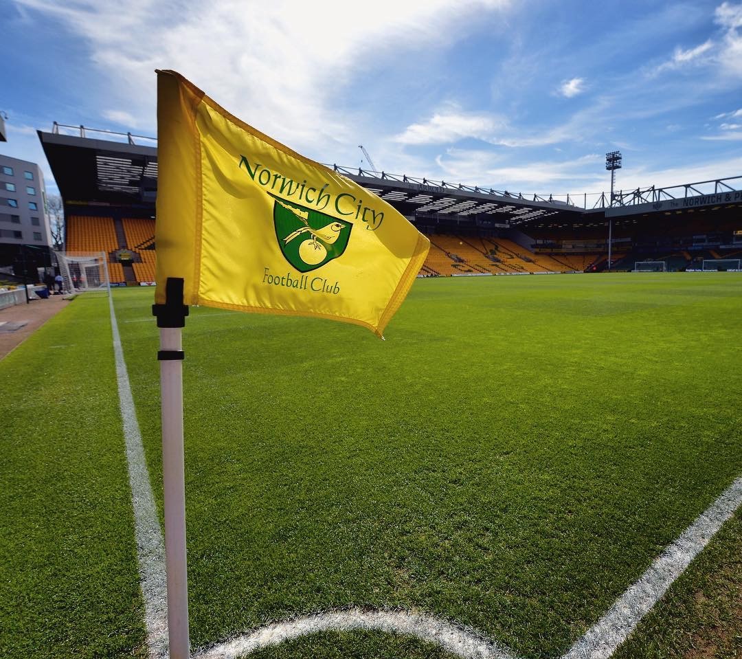 狼队15比1,狼队10:0比赛