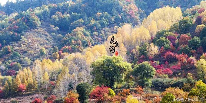 厉害了我的太原,厉害了我的太原机场