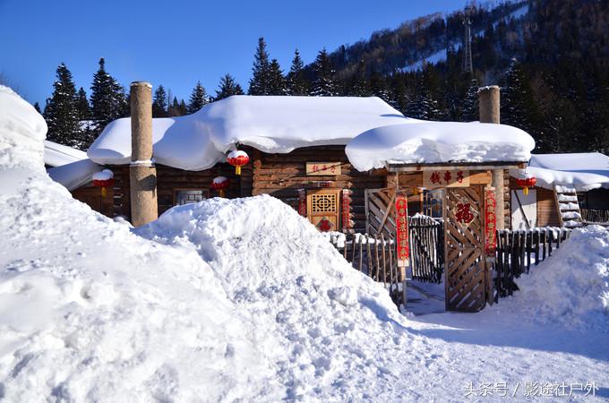哈尔滨雾凇岛一日游,哈尔滨雪乡雾凇岛攻略