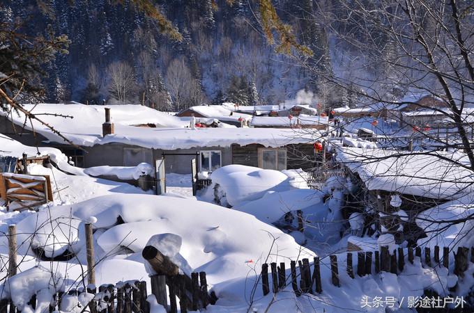 哈尔滨雾凇岛一日游,哈尔滨雪乡雾凇岛攻略